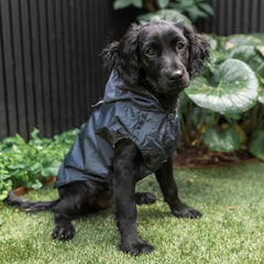 FuzzYard Life Dog Raincoat - Slate Grey