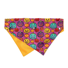 FuzzYard Oh My Gourd! 2 Pack Bow Tie & Bandana