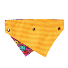 FuzzYard Oh My Gourd! 2 Pack Bow Tie & Bandana