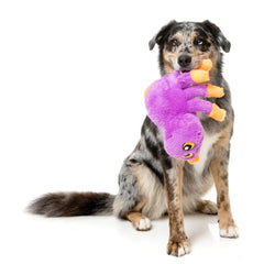 FuzzYard Weborah Spider Halloween Dog Toy - Large