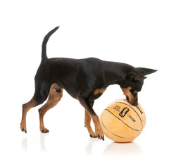 FuzzYard Basketball Dog Toy