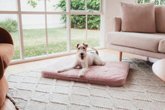 FuzzYard Life Lounge Mat – Soft Blush