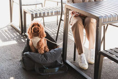 FuzzYard Life Multi-Purpose Dog Carrier & Car Seat – Slate Grey