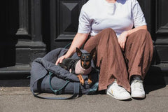 FuzzYard Life Multi-Purpose Dog Carrier & Car Seat – Slate Grey