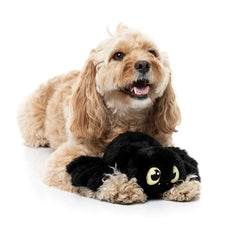 FuzzYard Webastian The Redback Spider Dog Toy