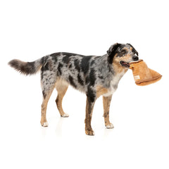 FuzzYard Dogg Boot Dog Toy