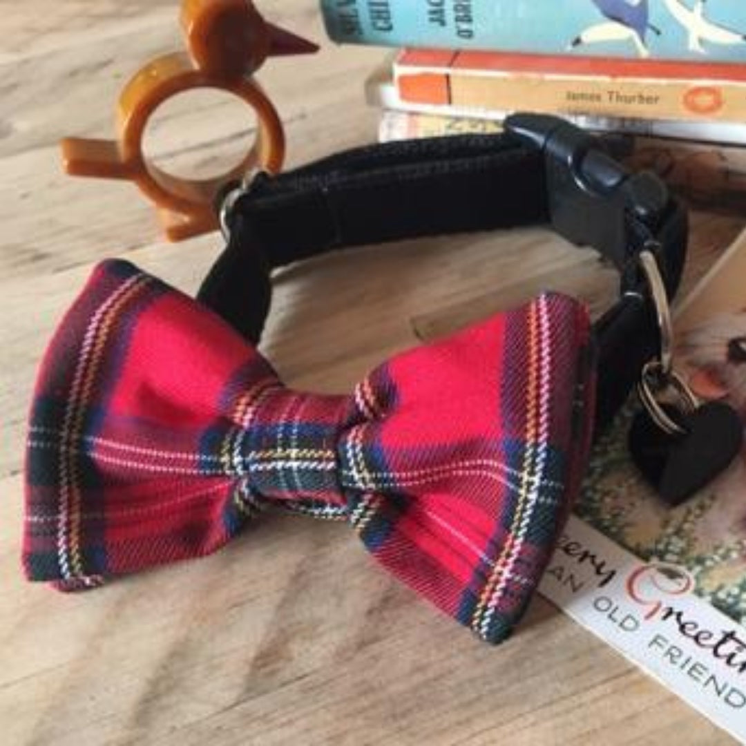 Hamish McHandsome Bow Tie Designer Dog Collar