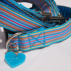 Ice Pop Blue Stripe Dog Collar and Lead Set