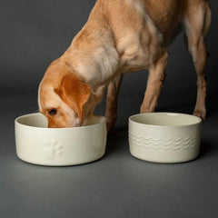 Icon 2 Piece Dog Food & Water Bowl Set - Cream