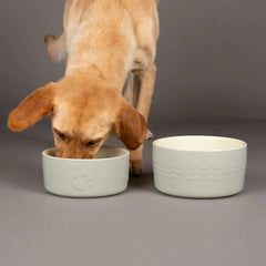 Icon 2 Piece Dog Food & Water Bowl Set - Light Grey