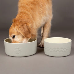 Icon 2 Piece Dog Food & Water Bowl Set - Light Grey
