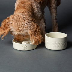 Icon 2 Piece Dog Slow Feeder & Water Bowl Set - Cream