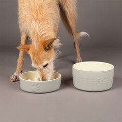 Icon 2 Piece Dog Slow Feeder & Water Bowl Set - Light Grey