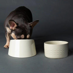 Icon 2 Piece Flat Faced Dog Food & Water Bowl - Cream
