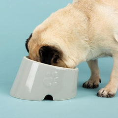 Icon 2 Piece Flat Faced Dog Food & Water Bowl - Light Grey