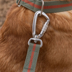 All-Terrain Canvas Dog Lead - Khaki / Chestnut