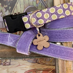 Lily Apple Spot Dog Collar and Lead Set