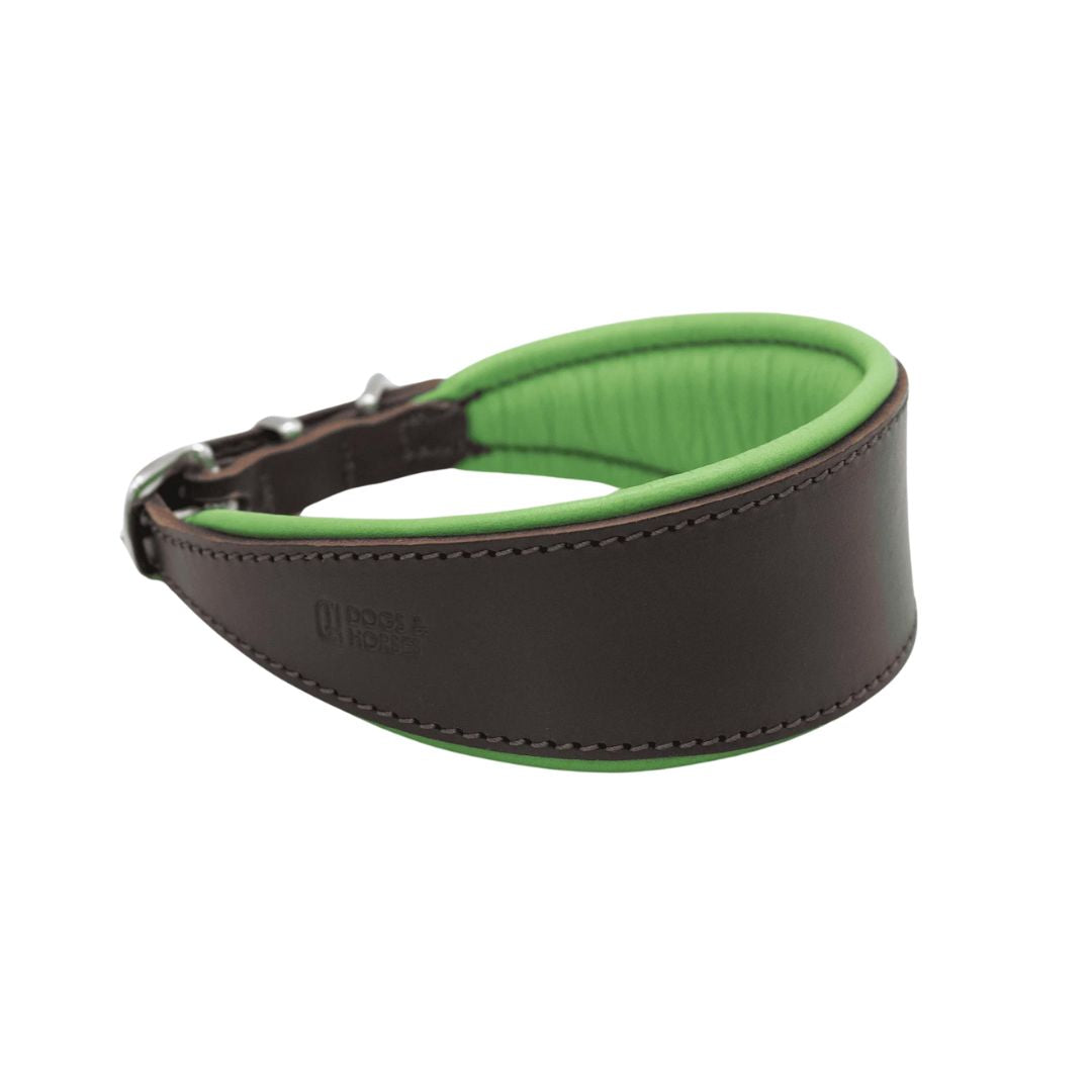 Luxury Green Leather Hound Collar by Dogs & Horses