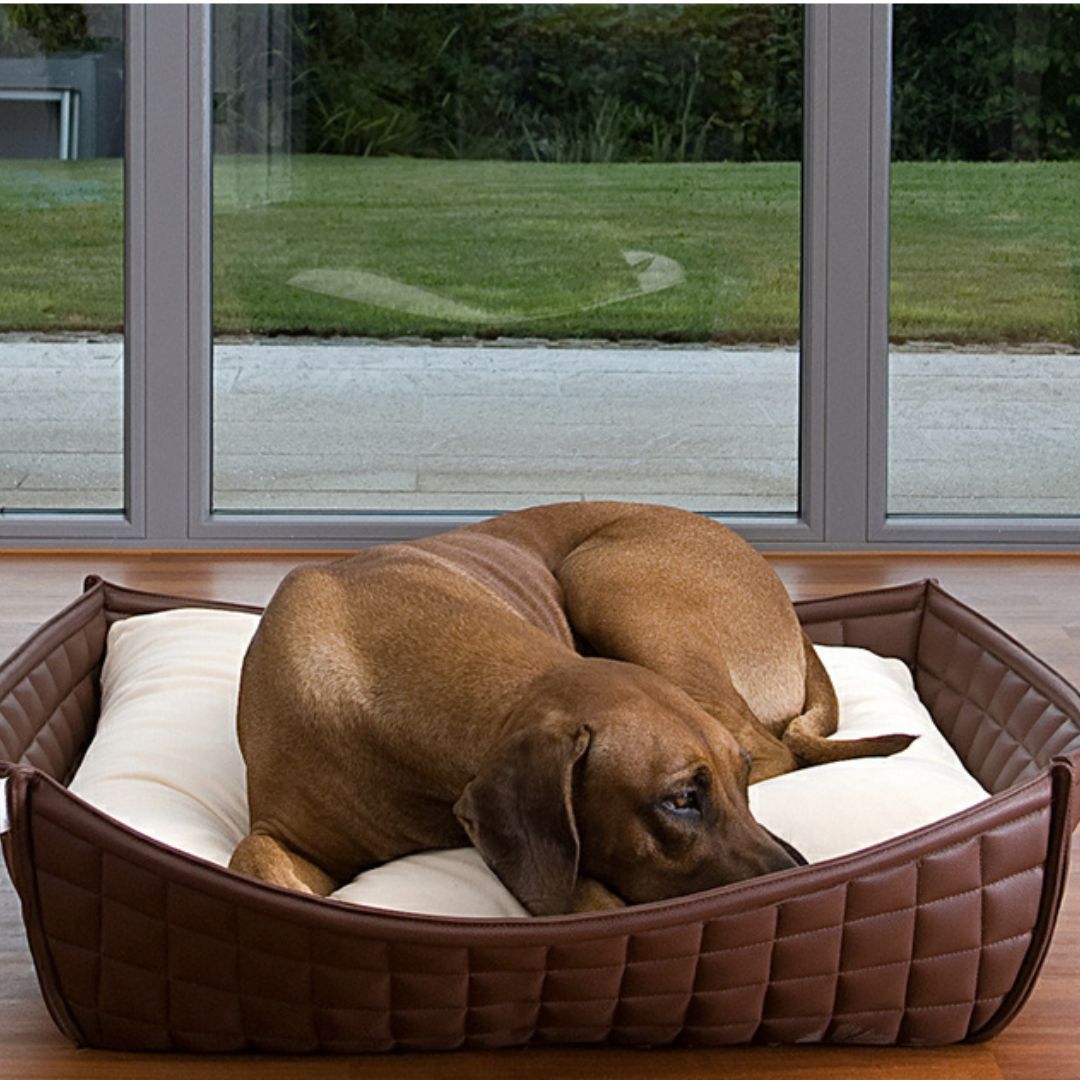 Luxury Leather Orthopaedic Bowl Dog Bed