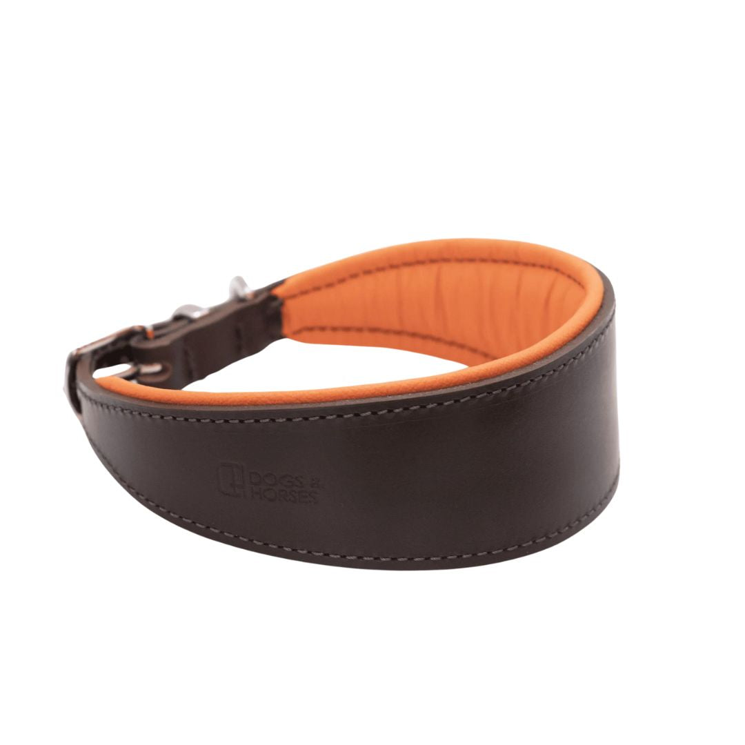 Luxury Orange Leather Hound Collar by Dogs & Horses