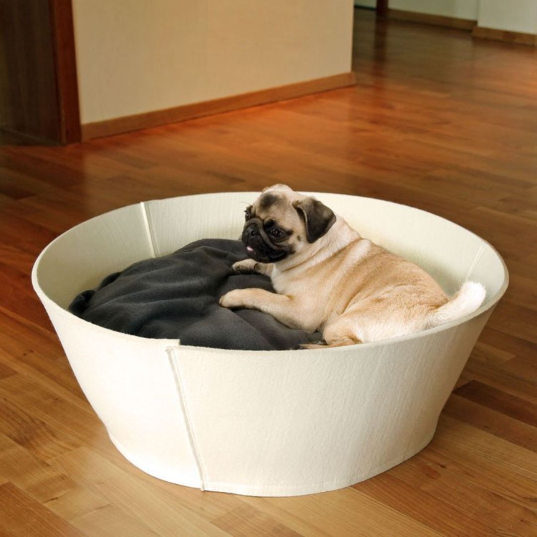 Luxury Orthopaedic Credo Felt Dog Bed