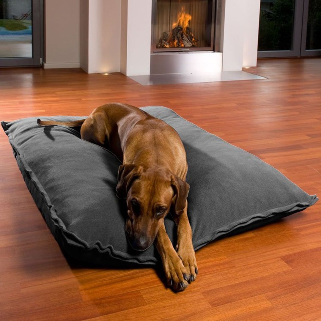 Luxury Orthopaedic Divan Uno Dog Bed