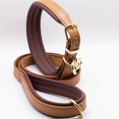 Luxury Padded Leather Dog Collar Tan & Merlot by Dogs & Horses