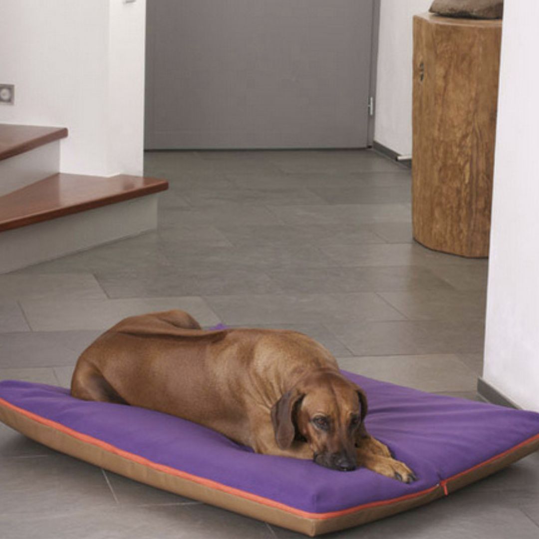 Luxury Paul Faux Leather Memory Foam Dog Bed