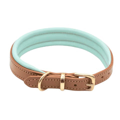 Luxury Tan & Aqua Padded Leather Dog Collar by Dogs & Horses