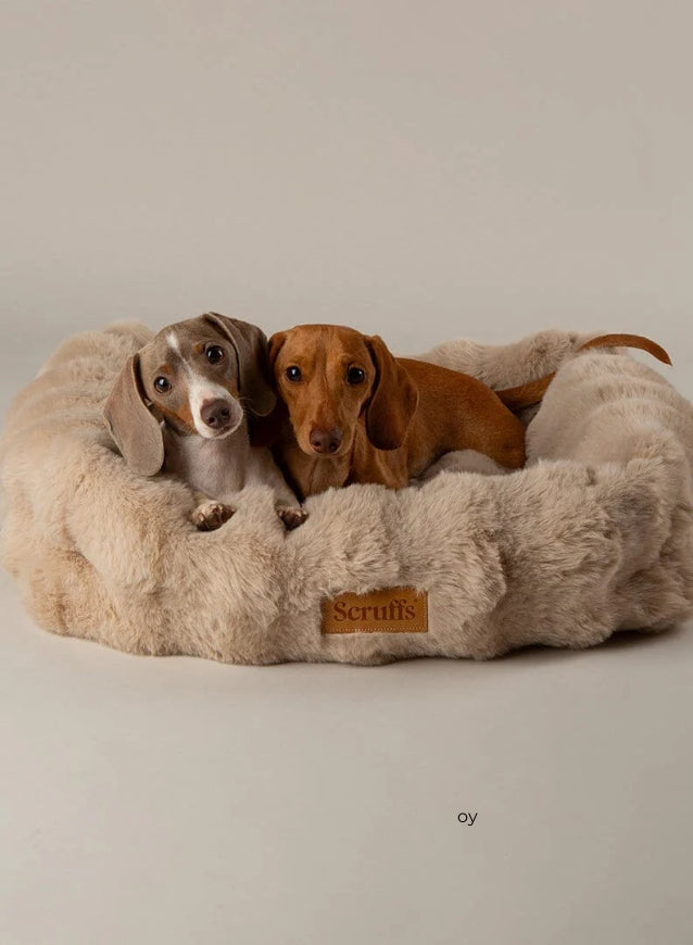 Luxury Cosy Dog Beds