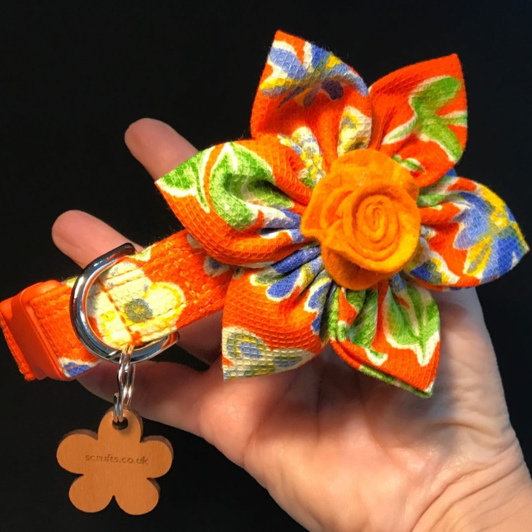 Marigold Floral Dog Collar with Detachable Flower