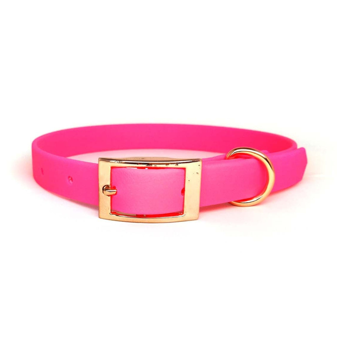 Neon Pink Biothane Dog Collar