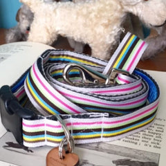 Neopolitan Stripe Dog Collar and Lead Set