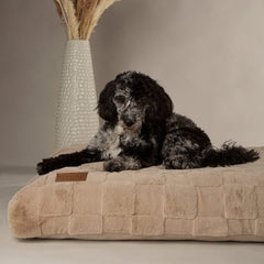 Oxford Orthopaedic Memory Foam Dog Mattress - Camel
