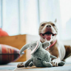 P.L.A.Y Big Five of Africa - Elephant Dog Toy