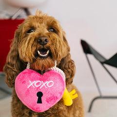 P.L.A.Y Love Bug Love You a Lock Dog Toy