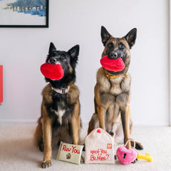 P.L.A.Y Love Bug Smoochy Poochy Dog Toy