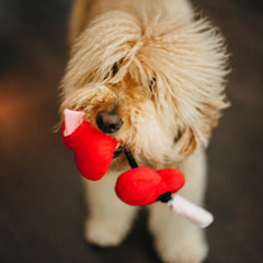 P.L.A.Y Puppy Love Fur-ever Hearts Dog Toy