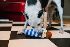 P.L.A.Y International Classic Fur-lafel Wrap Dog Toy