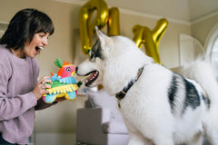 P.L.A.Y Party Animal Fiesta Fetch Pinata Dog Toy