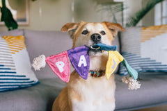P.L.A.Y Party Animal Tug n’ Party Banner Dog Toy