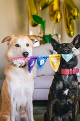 P.L.A.Y Party Animal Tug n’ Party Banner Dog Toy