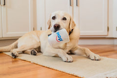 IHOP x P.L.A.Y. Barking Bean Brew Dog Toy