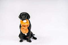 IHOP x P.L.A.Y. Pancake Pup Stack Dog Toy