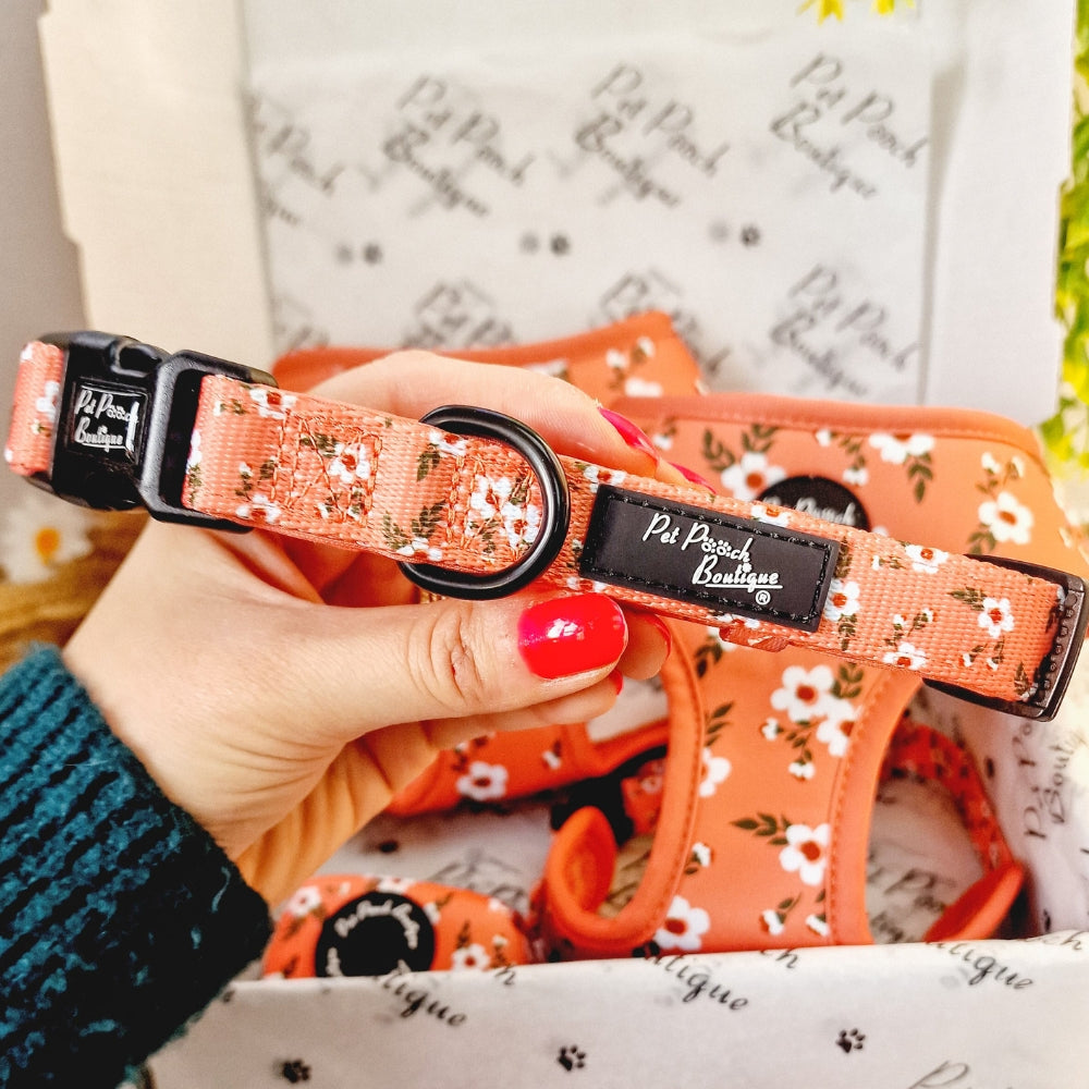Peach & Ivy Blossom Dog Collar