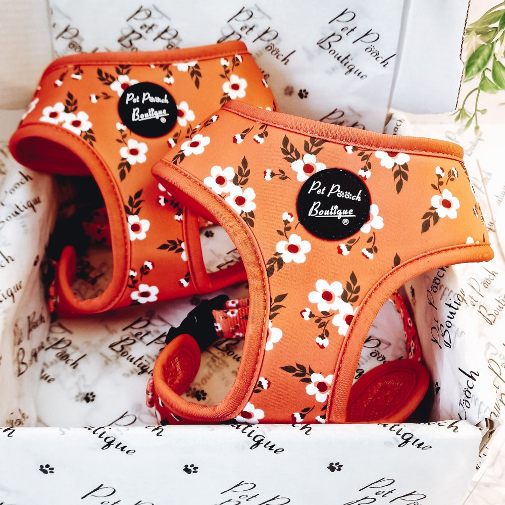 Peach & Ivy Blossom Dog Harness