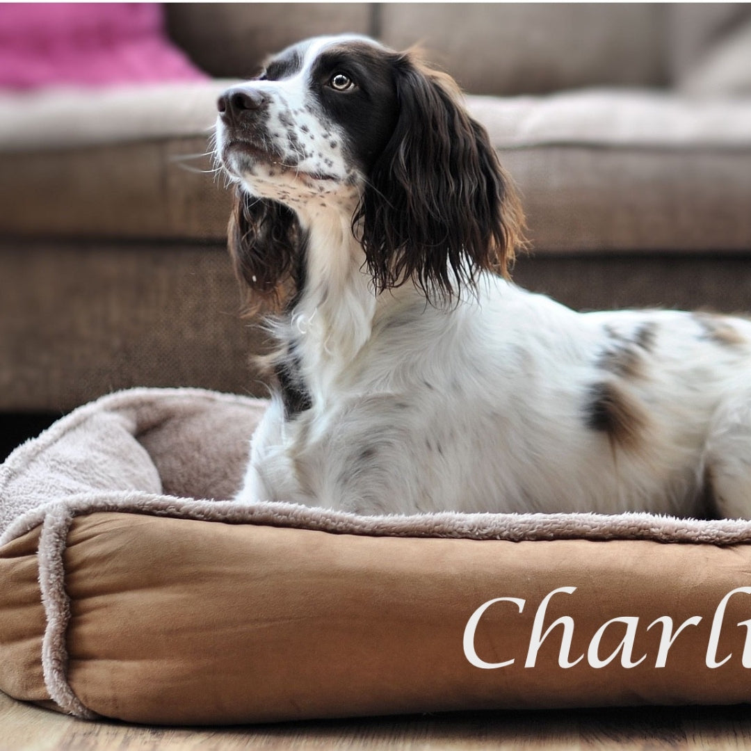 Personalised Caramel Fleece Cradle Dog Bed