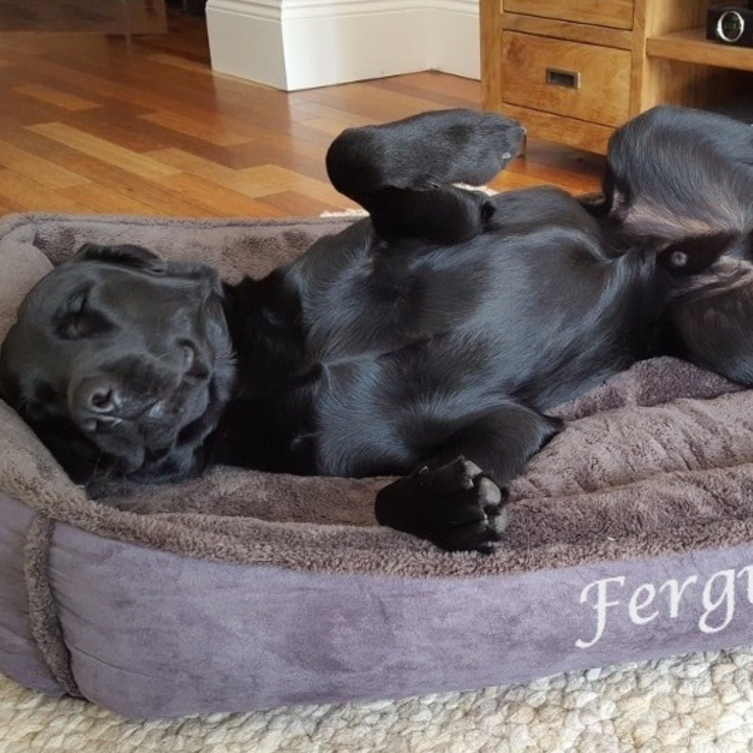 Personalised Slate Grey Fleece Cradle Dog Bed