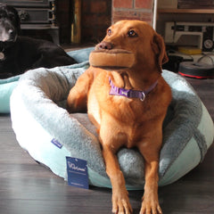 Personalised Turquoise Oceans Fleece Donut Dog Bed