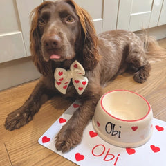 Personalised Heart Confetti Slanted Dog Bowl and Mat Set